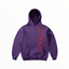 Butter Goods Warped Pullover Hoodie - Purple