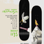 Carouge New House Twin Board - 8.25 - Spin Limit Boardshop