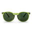 Chpo Anchor Point Sunglasses - Forest Green - Spin Limit Boardshop
