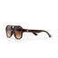 Chpo Cocas Sunglasses - Coffee - Spin Limit Boardshop