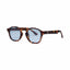 Chpo Gee Sunglasses - Turtle Brown - Spin Limit Boardshop