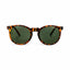 Chpo Toro Sunglasses - Turtle Brown - Spin Limit Boardshop