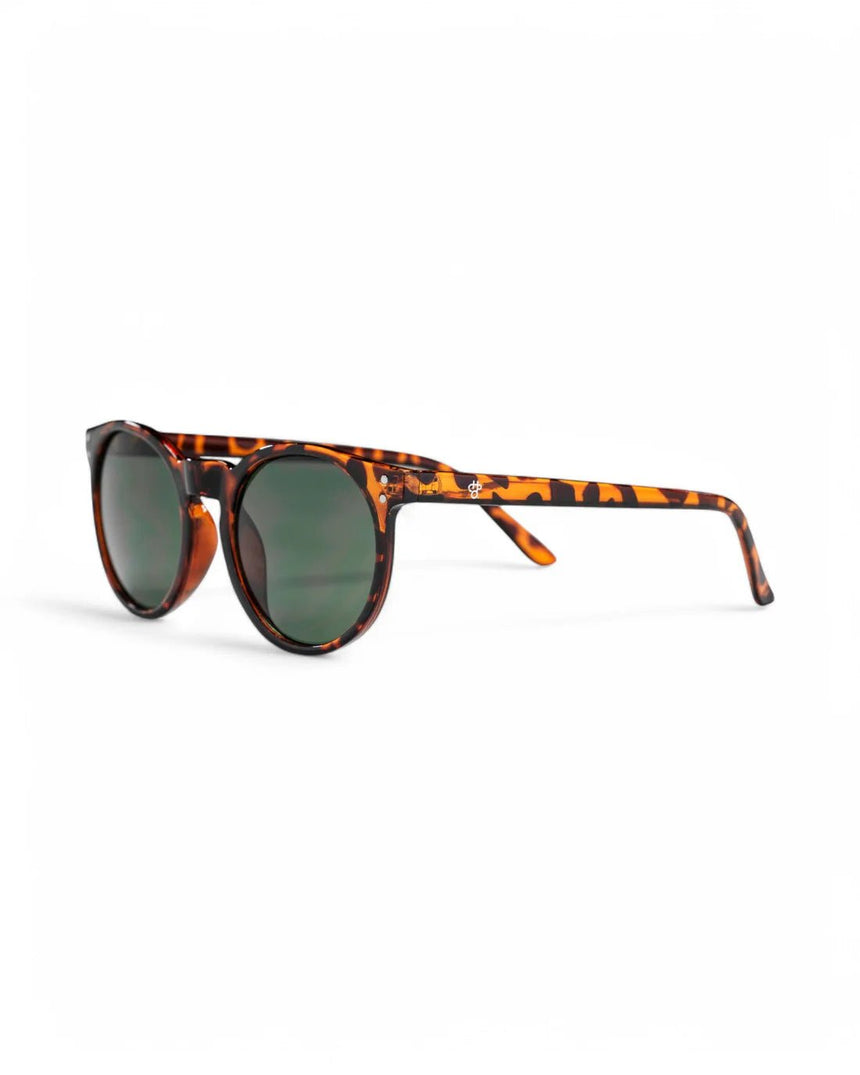 Chpo Toro Sunglasses - Turtle Brown - Spin Limit Boardshop