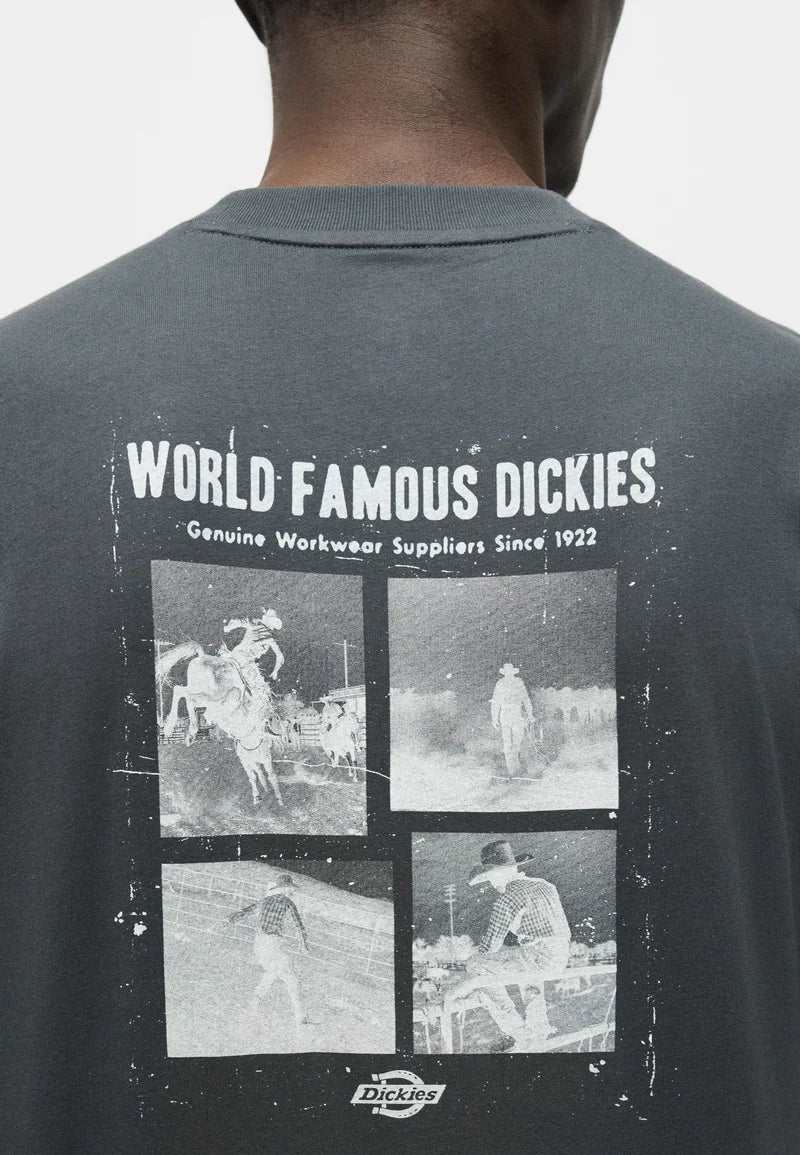 Dickies Wolfhurst Tee - Grey - Spin Limit Boardshop