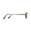 Glassy Zion Premium Polarized - Gold - Spin Limit Boardshop
