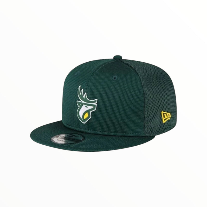 New Era Cap 9Fifty Snapback - CFL Edmonton Elks - Spin Limit Boardshop