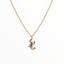 Spin Limit Scorpion Chain - Gold - Spin Limit Boardshop